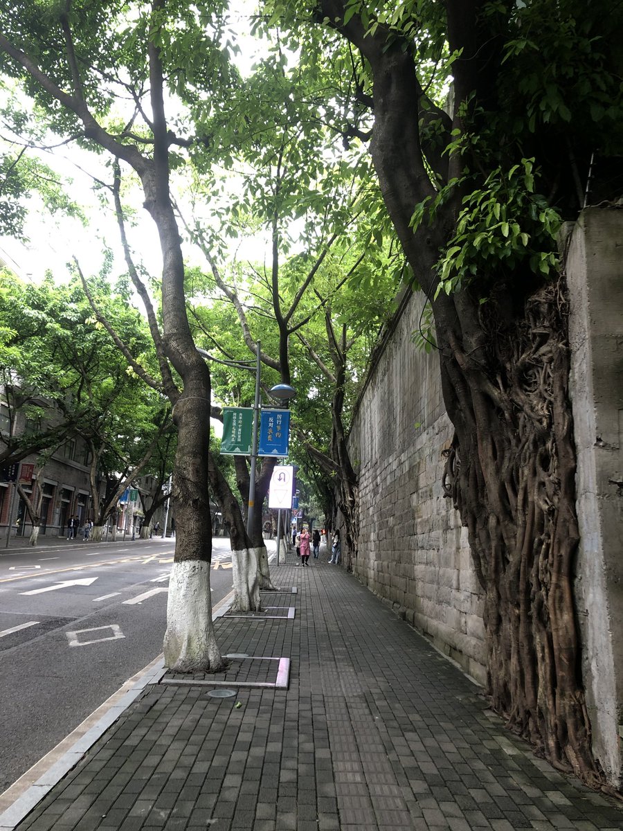 Untouchable Lmszone Twitter