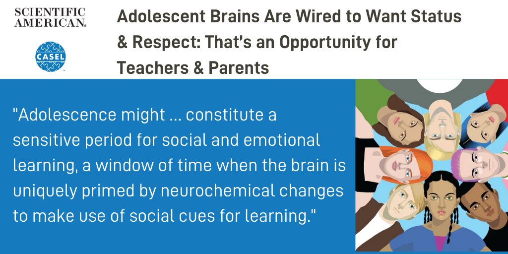 caselorg's tweet image. Can social and emotional learning (#SEL) meet the unique challenges of adolescent students? According to brain science, teens may be hard-wired to respond to the social components of learning. Read more in @SCIAM: bit.ly/3efgAcq