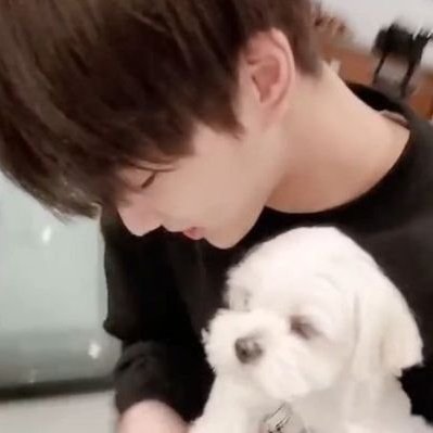 dave_skyy's tweet photo. pls be safe wonie :( https://t.co/JAnoEzXNeH