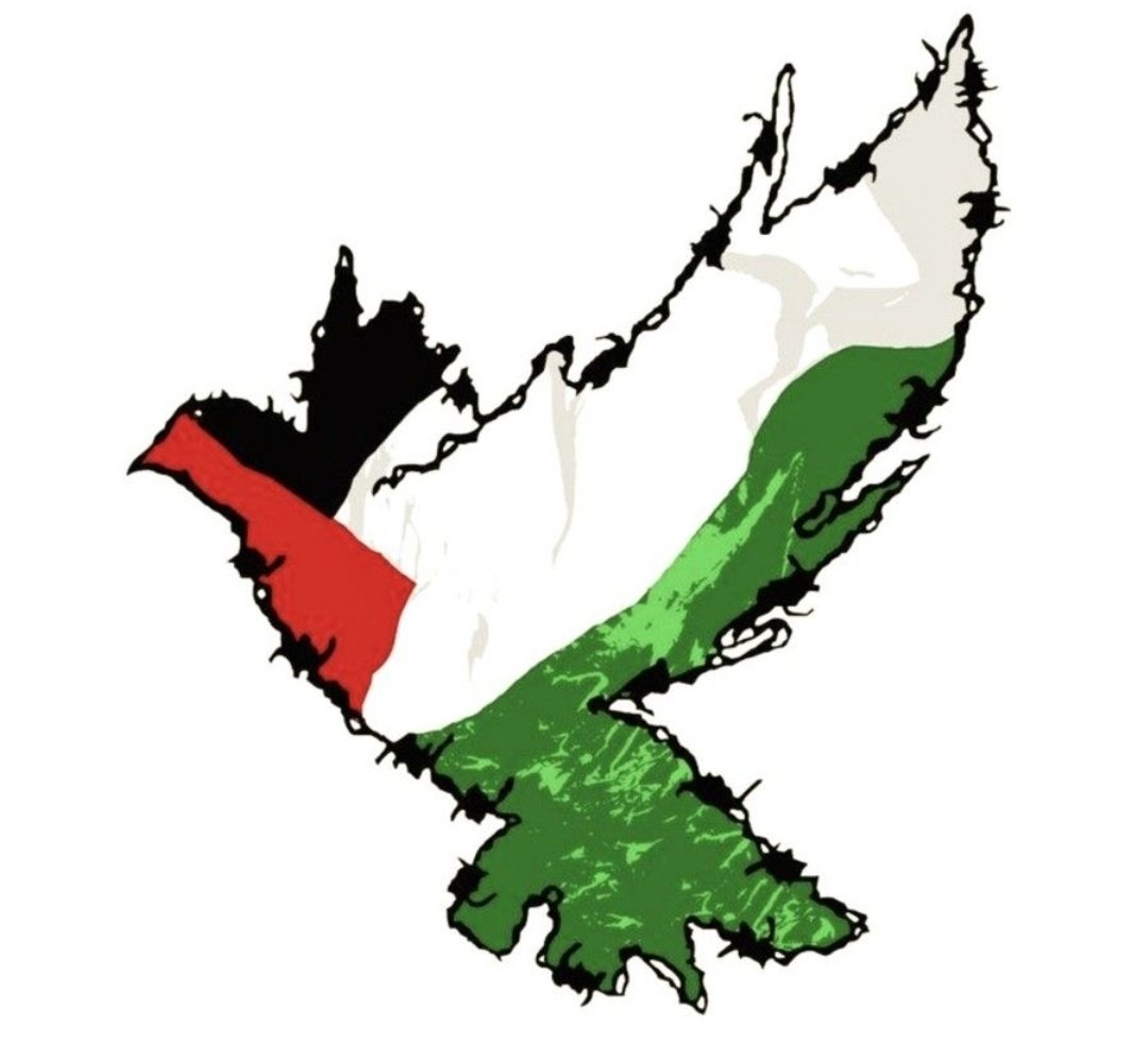 Ercansncr's tweet photo. #HearGaza
#HearGaza
Lâ galîbe îllallah https://t.co/AaAPb96lGq