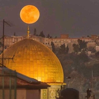 mooonsooon6's tweet image. #صورة_جديدة_للملف_الشخصي