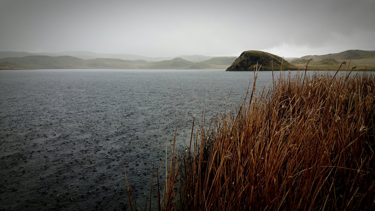 GayleMarsh14's tweet photo. Five layers of clothes on and I'm soaked to the skin but I wouldn't want to be anywhere else.  #flyfishing #sharingflieswithastranger https://t.co/dwxfj6nmPQ