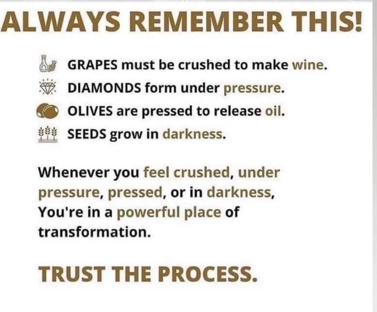 Allistair McCaw tweet media