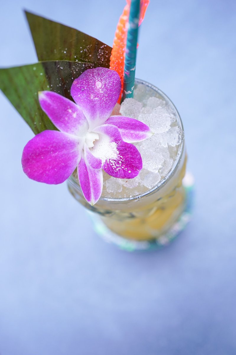 hoplightsocial's tweet photo. Presenting the new #SOSTikiBar menu! The Apple Jack, Biodome, & Castaway are sooooooooo good! 🤤 #tikitime #craftcoctails #cheers #weekendvibes #cocktails #sostikibar #thingstodoinatl #atlanta #cocktailphotography #atlphotographer #hoplightsocial https://t.co/SZy4S4JEiV