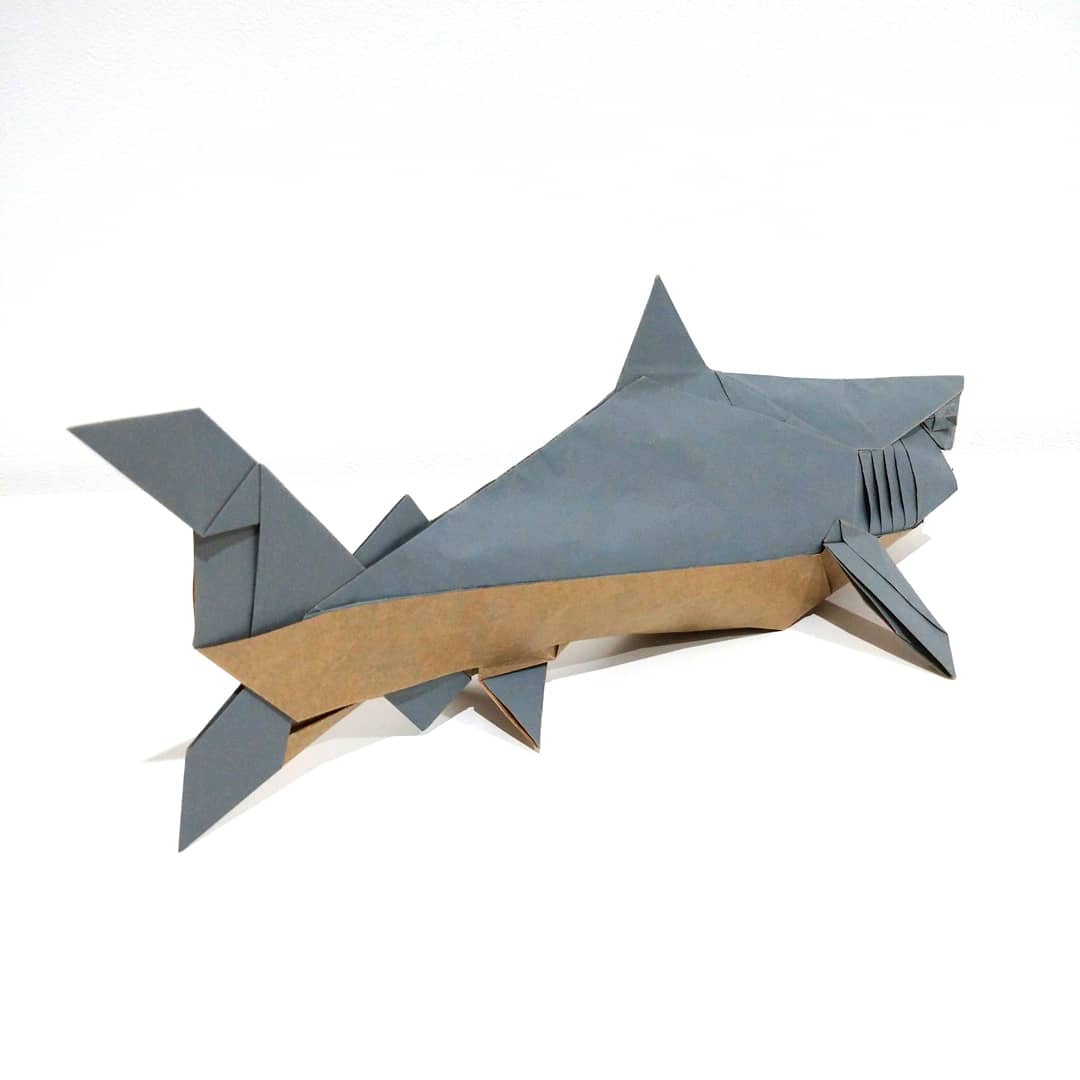 テラ Tera Origami Twitter テラ Tera Origami Twitter