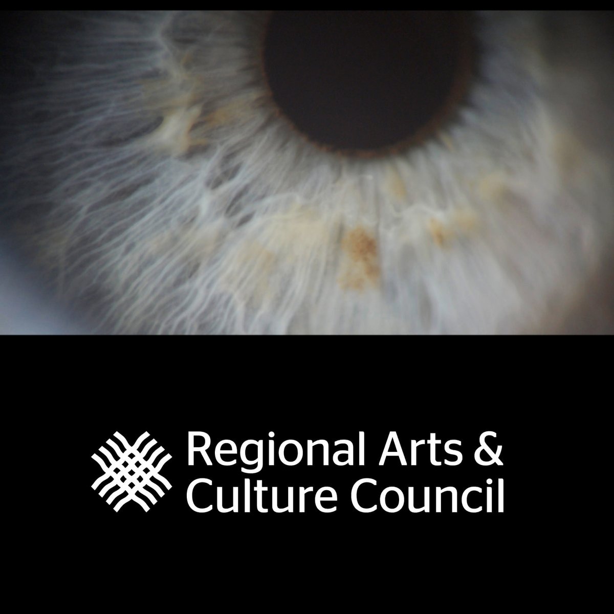 I'm so thankful to the Regional Arts &amp; Culture Council (<a href="/R_A_C_C/">Regional Arts & Culture Council</a>) for awarding me a Make|Learn|Build grant to finally finish post-production on a short experimental film I shot several years ago. Looking forward to sharing more about the film soon!