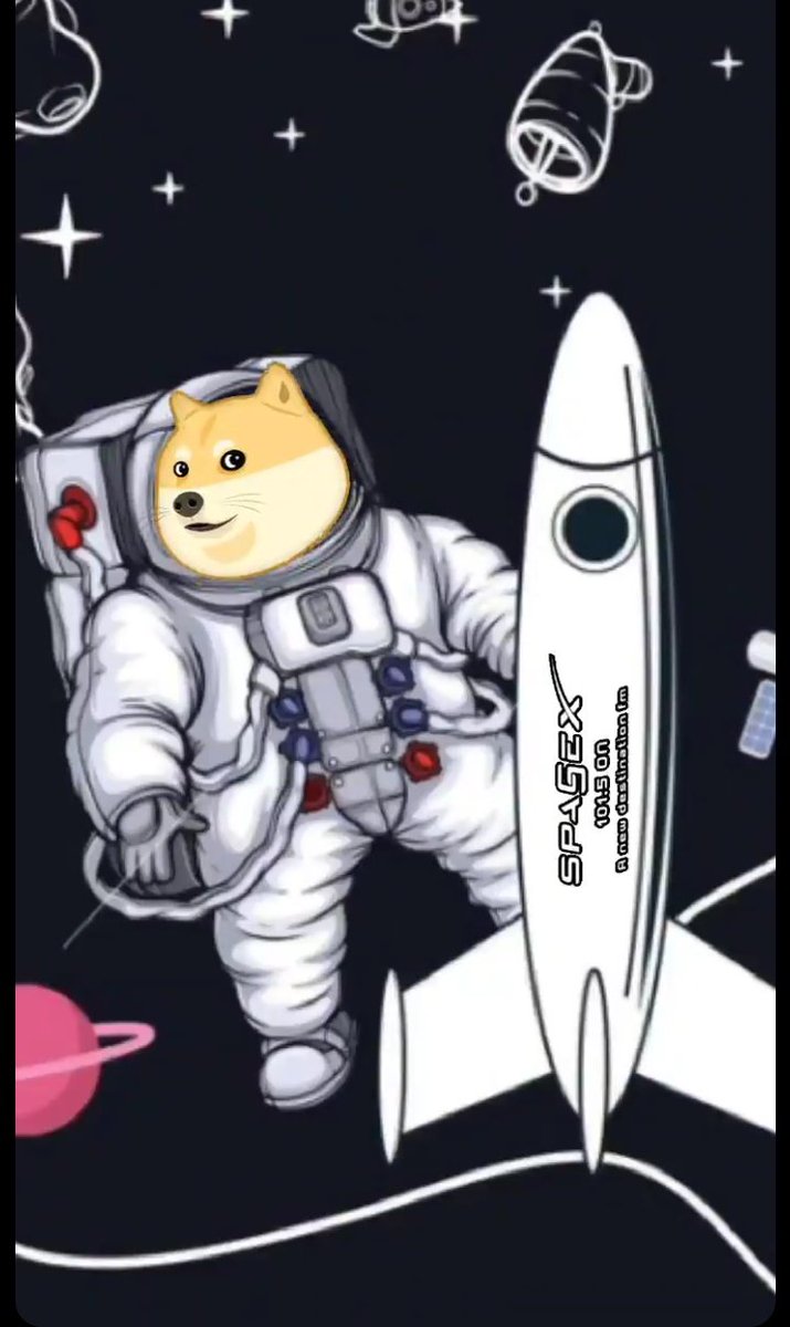 Burakmolly1's tweet photo. hello daddy your son came @elonmusk #dogecoin #AcceptDOGE https://t.co/GwahLbLvYj