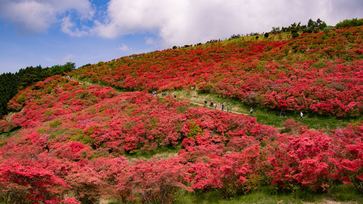 大和葛城山