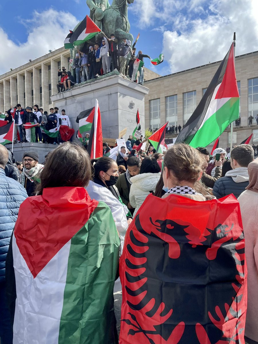 1Skel's tweet photo. Albania stands with Palestine don’t beg it you dickhead 🇦🇱🇵🇸🇽🇰 https://t.co/Zd43W9rbRm