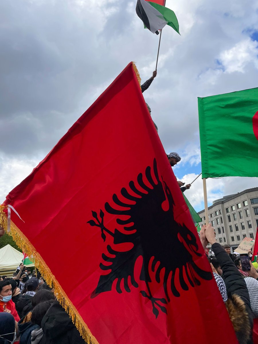 1Skel's tweet photo. Albania stands with Palestine don’t beg it you dickhead 🇦🇱🇵🇸🇽🇰 https://t.co/Zd43W9rbRm