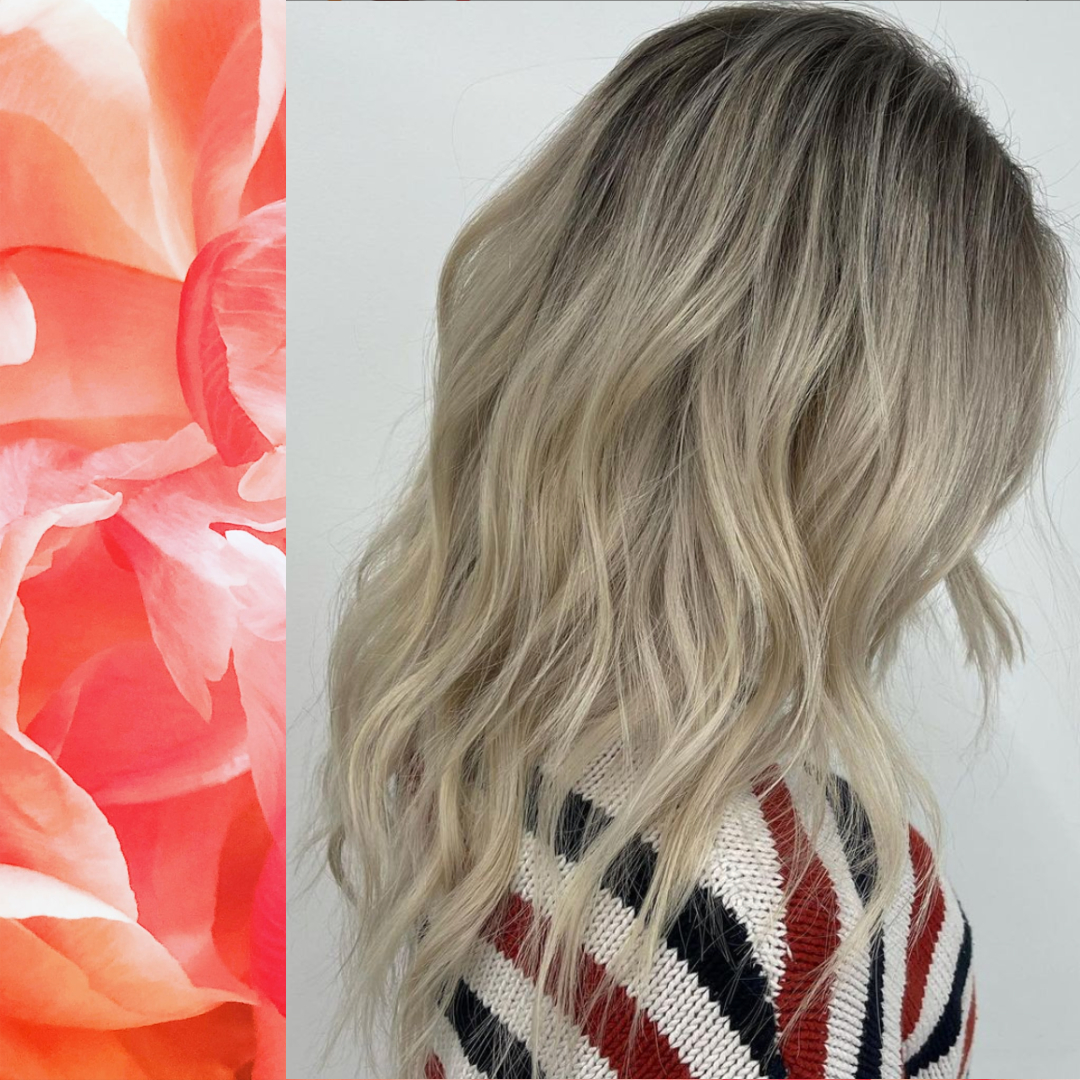 mmsalondenver's tweet photo. You can regret a lot of things but you’ll never regret being kind.

Hair : @nicolekelleyhair
#mmsalondtc https://t.co/xJOD0LUNkE