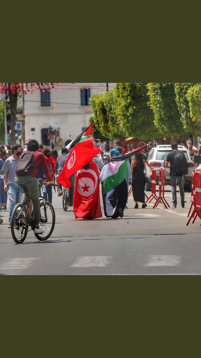 emna_hadj's tweet photo. #fromtunisia 🇹🇳 #GazaUnderAttack #FreePalaestine #SaveSheikhJarrah #SavePalestine 🇵🇸🇵🇸🇵🇸🇵🇸 https://t.co/1CcD0Od2Tq
