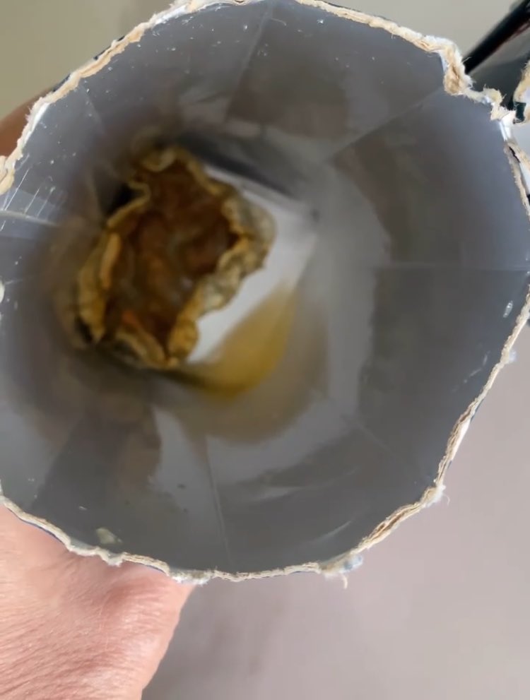 Bu görüntüler az önce Turizm Bakanı Mehmet Nuri Ersoy’un eşi Pervin Ersoy tarafından Instagram hesabı üzerinden “Sağlığımızla oynanıyor yazıklar olsun” ifadesiyle paylaşıldı. Daha önce defalarca yayınladığımız meyve suyu canavarı bu kez %100 Elma suyundan çıkmış.
<a href="/dimestr/">dimestr</a>