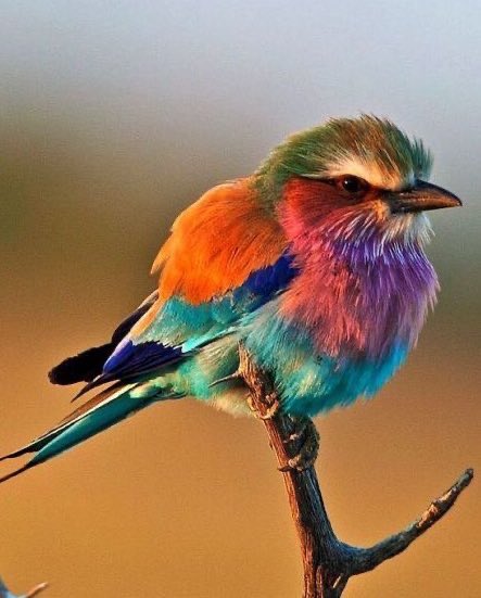 UNIVERSEBEUTY's tweet photo. I see you &
Your kindness
Whenever i see nature
#BeautifulGod https://t.co/KK9BlkBdhK