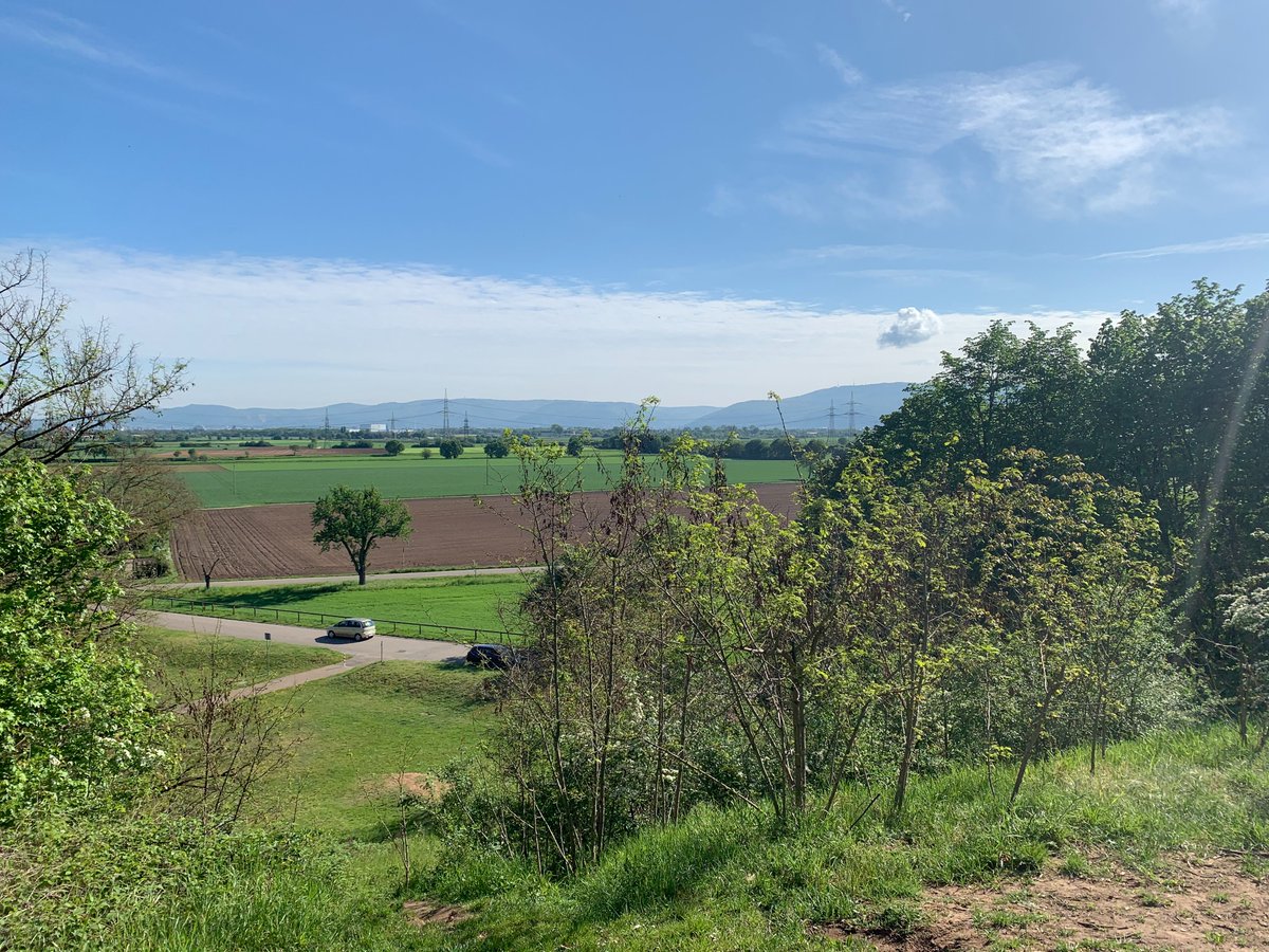 HardtwaldW's tweet photo. Die mächtigste und mit 21m zugleich höchste Binnendüne ganz BaWüs ist der Feldherrenhügel, eine der Oftersheimer Dünen. https://t.co/CiCAsxDHVp
