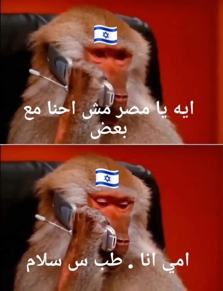 TheBoghdady's tweet image. 