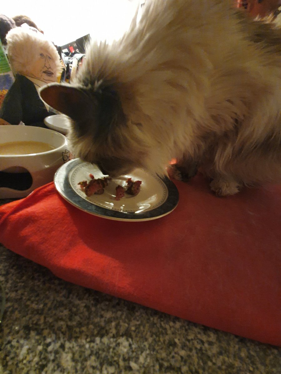 Tonight we supported the lovely team <a href="/OxfordRoadCafe/">Oxford Road Cafe</a> #Altrincham 

Albert can confirm their burgers are cat perfect &amp; cats aren't stupid when it comes to quality meat.