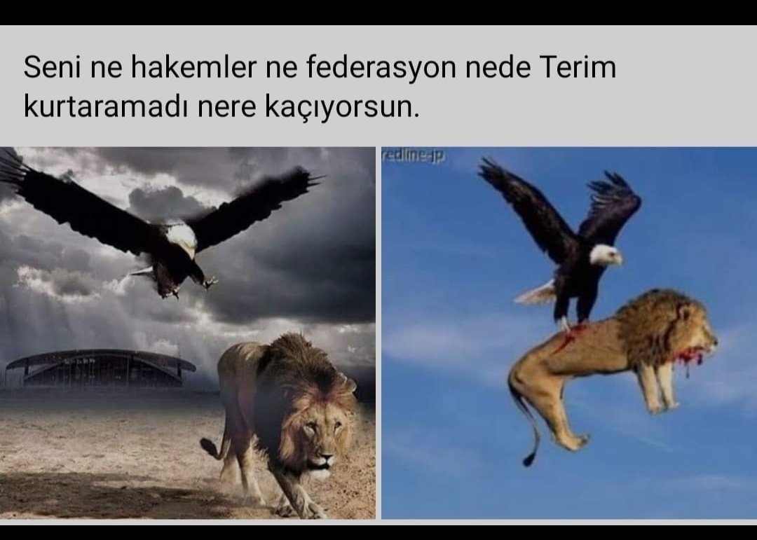 #SaldirGALATASARAY #SampiyonBesiktas #BesiktasınMacıVar #AileOEdueluendenİkiTakımdaFaydalansın #BesiktasSampiyonOlacak #BesiktASK #BesiktasAiledir #BozkırdaBayram #asılıyım