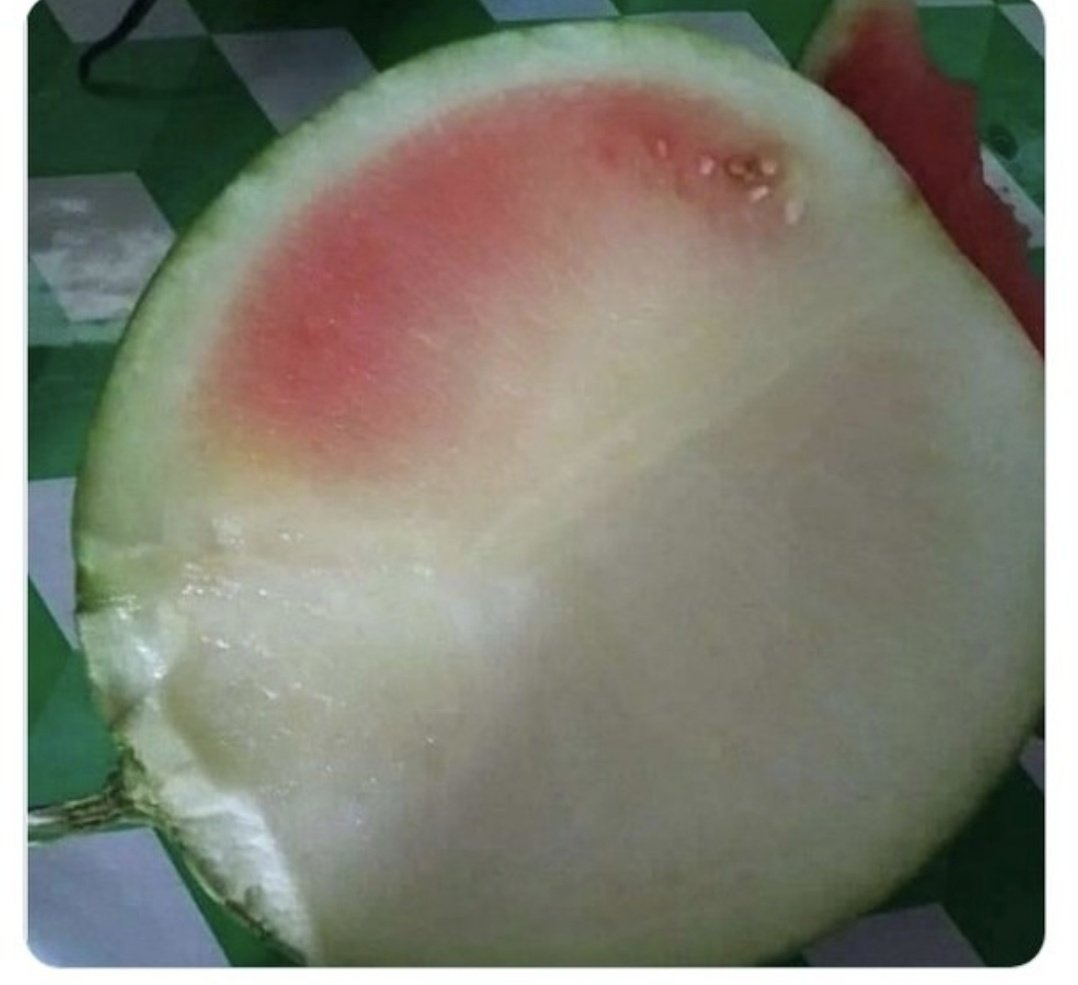 Kurduğun takım, getirdiğin hoca 3 yıldır aha bu karpuz gibi kelek Ali Koç....#AliKocİstifa