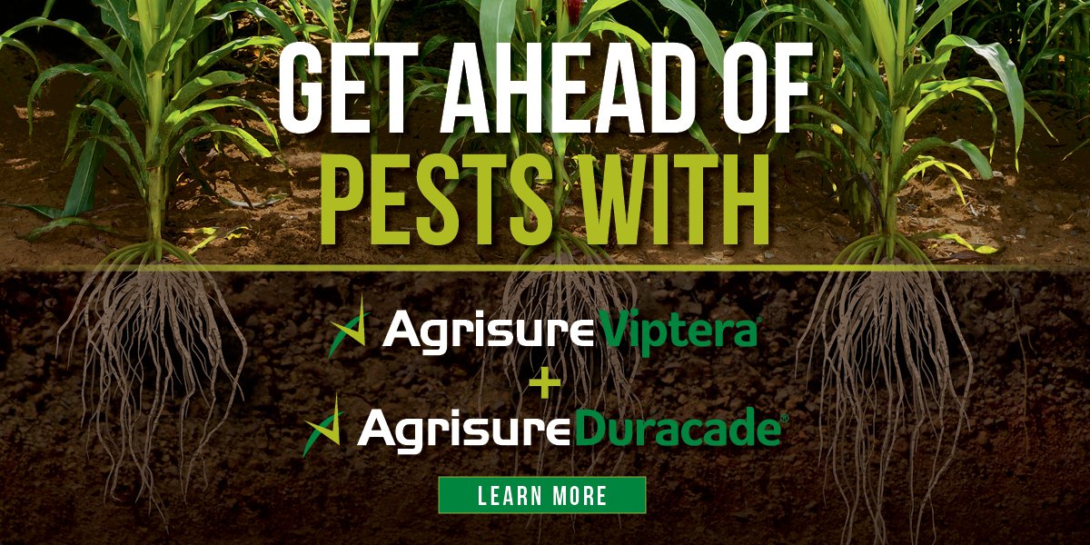The Agrisure® traits portfolio offers comprehensive above- and below-ground insect control, bringing #farmers an innovative solution for protecting yield potential, and providing a 4.1 bu/A average over products without Agrisure Duracade®: ow.ly/ORxx50Ev9P9