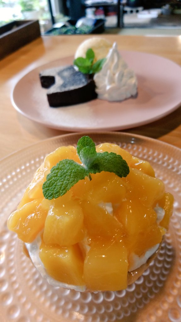 XzeIf6s7Ykeirjg's tweet photo. 骨休みの時間がとれて #cafeN に行くことができました。店主さんへの挨拶は、「また増えたね😆💓多肉ちゃん😆」
いつも座る玄関土間をあがってすぐのとこ。
多肉ちゃんを見ながら、いただいたワンプレート今週のメインはハンバーグ🙌
デザートにマンゴープリンタルト パワー充電して帰りました😊💪 https://t.co/jYDhA1ti5C
