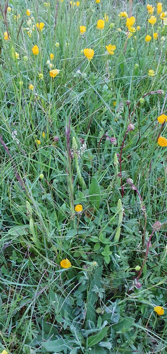 Paul Jarrett tweet media