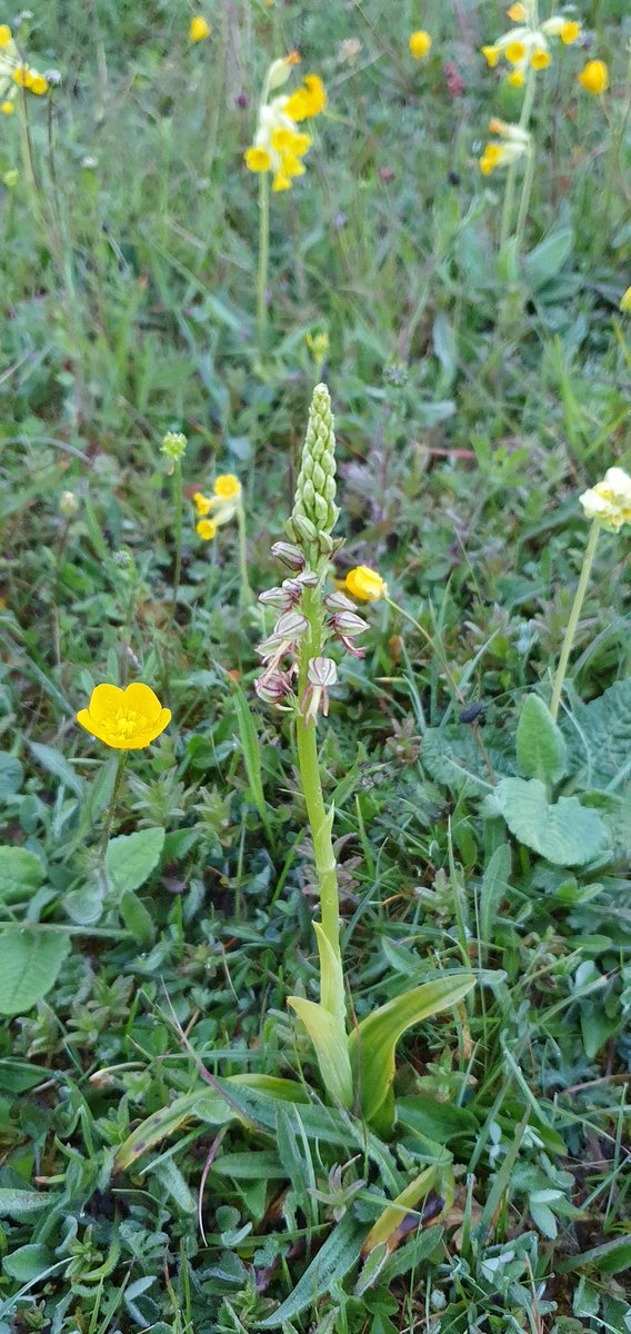 Paul Jarrett tweet media