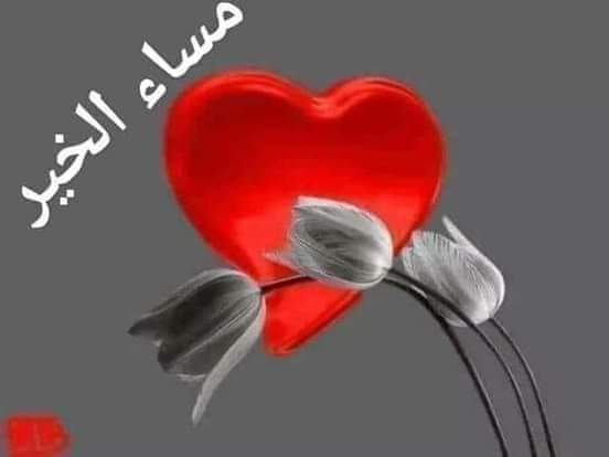 haddadroben's tweet photo. @LeLoukassem https://t.co/IlmDUGGd2o