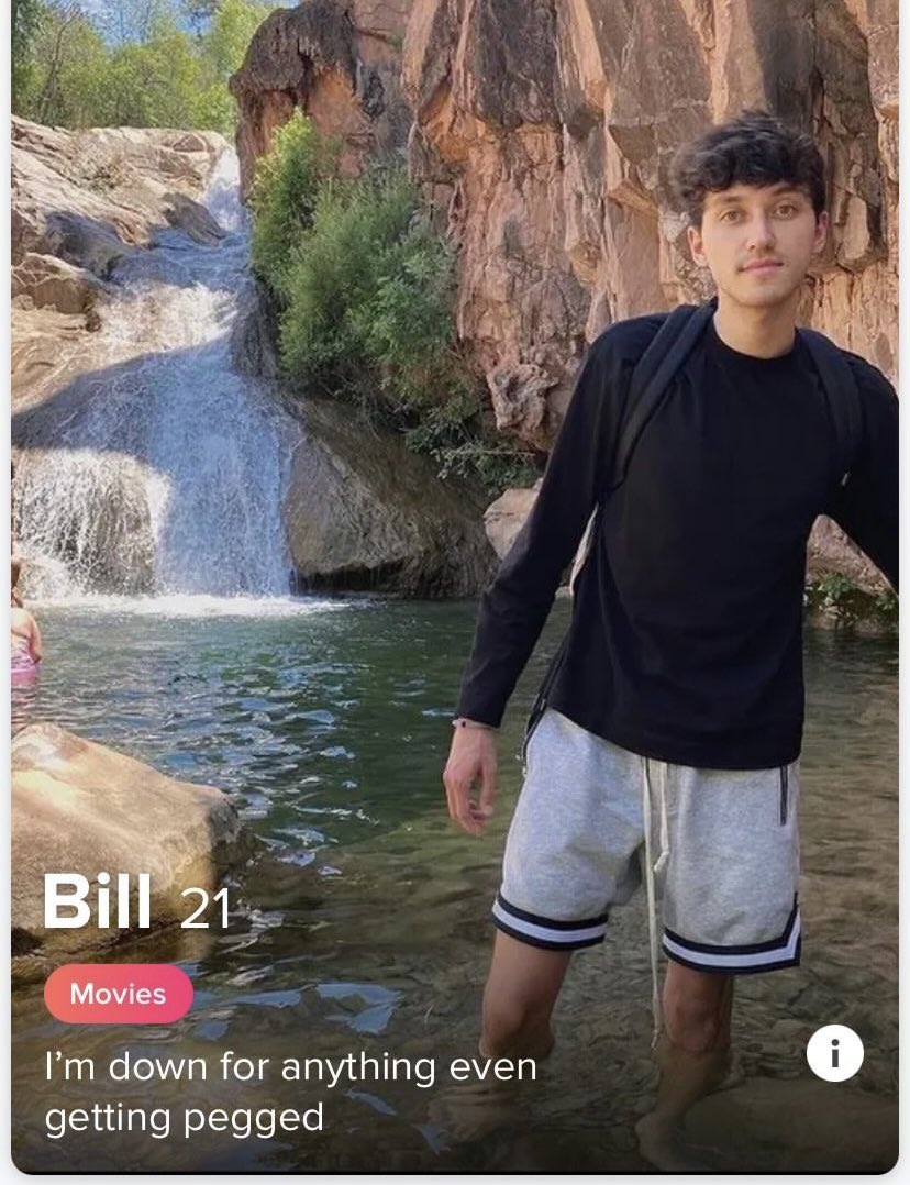 i’m used to getting screenshots of fake tinder profiles using my pictures, but this one someone sent me takes the bio too far... smh