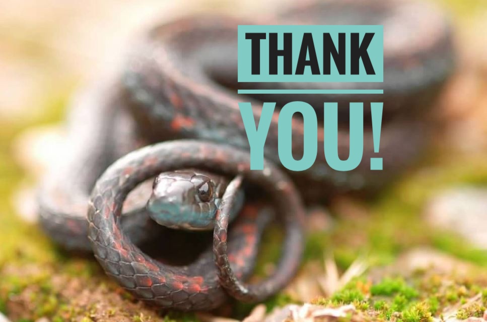 NWPARC1's tweet photo. THANK YOU to all who helped make the Joint Virtual Meeting successful! A special thanks to our sponsors, @SNVBorg and Syndel, and our 3 plenary speakers. We had over 100 registrants and 38 talks! https://t.co/RKuregrqIr