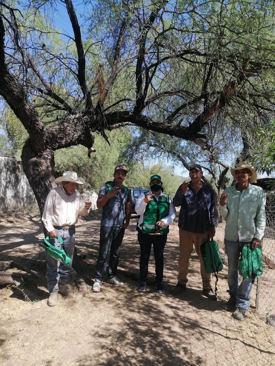 magdagogal's tweet photo. Si algo disfruto al máximo es recorrer las zonas rurales del Distrito XI, la gente es de lo más agradable, atenta y servicial, acercando las propuestas verdes.
#Sumandovoluntades 💚
#mujerverde @verdesonora https://t.co/uLMbYWTLJD