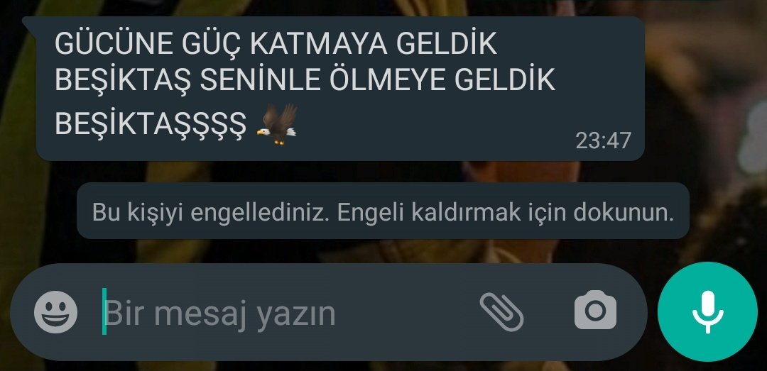 Tavrımız net 
#Fenerbahce