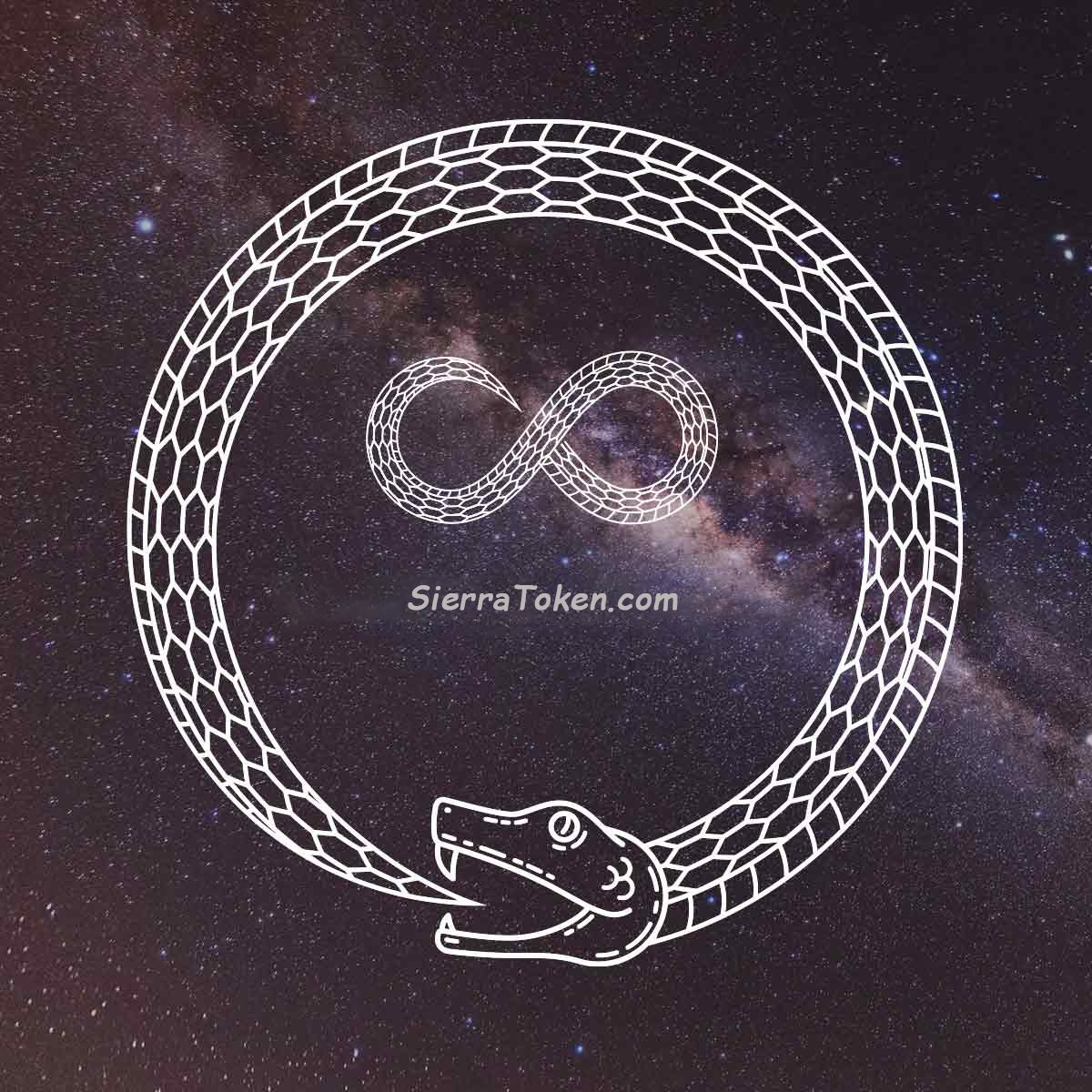 SierraToken's tweet photo. We have reached 6000 people right now, this project is our anti-drugs project, our roadmap is only human. The meaning of our emblem is the snake that eats itself because people who use drugs extinguish itself. We will act with a few organizations in the future,Wait https://t.co/4V8bdbudTa