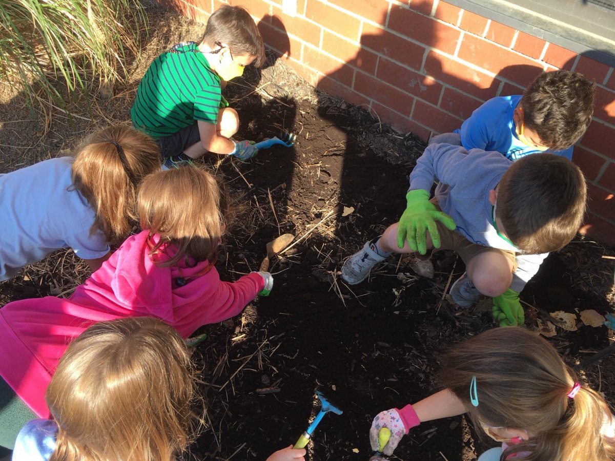 Mrs.Sutter-Hook Kindergarten Class tweet media