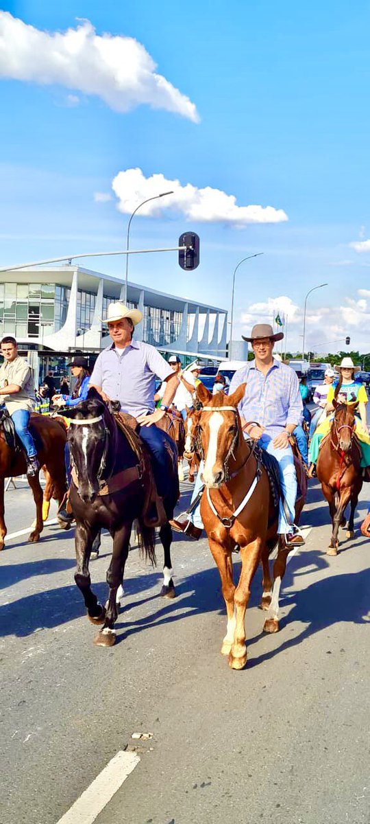bernardokuster2's tweet photo. Agora é só gritar “Independência ou morte!” https://t.co/8O1ooKsXkJ