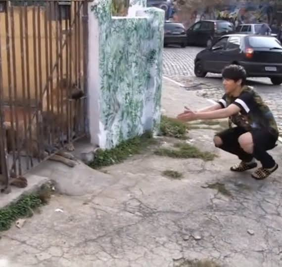 j_kaysa's tweet photo. jungkook fetus emo brincando com cachorro caramelo em solo brasileiro https://t.co/7HMcQMQpxo