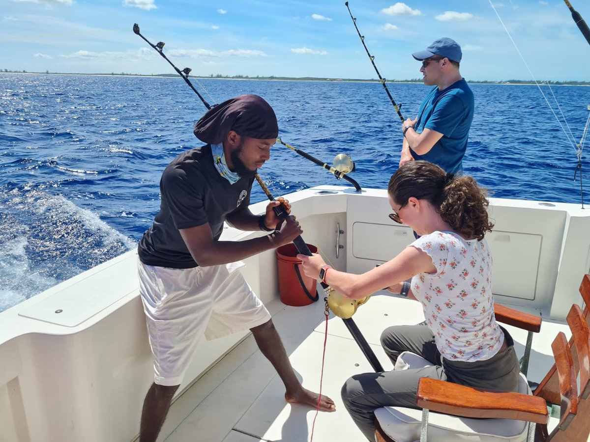 gsfishing's tweet photo. When you need a hand to bring that monster in our mate Jefferey will be happy to teach and lend a hand #deepseafishing #exploretci #turksandcaicos #fishing @RealSaltLife @UnchartedWtrsTV @ExploreTCI @TCITourism https://t.co/Jgje2aylkB