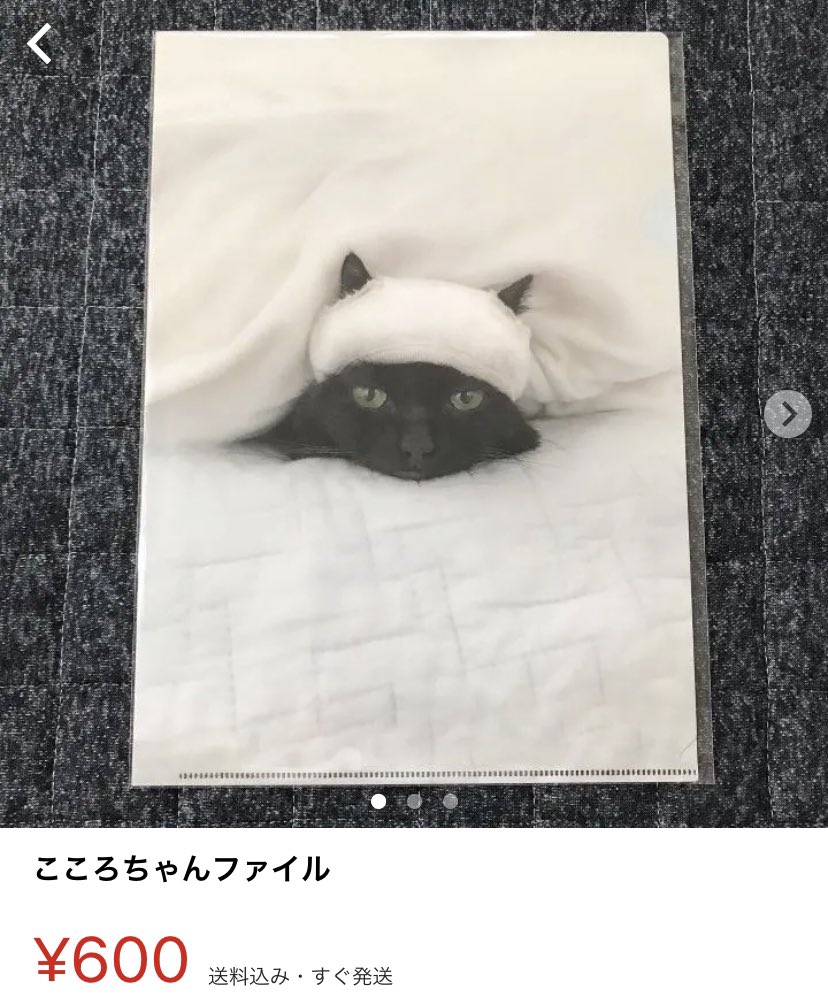 ねこのわ なら Zjedm8wbsuajvqs Twitter