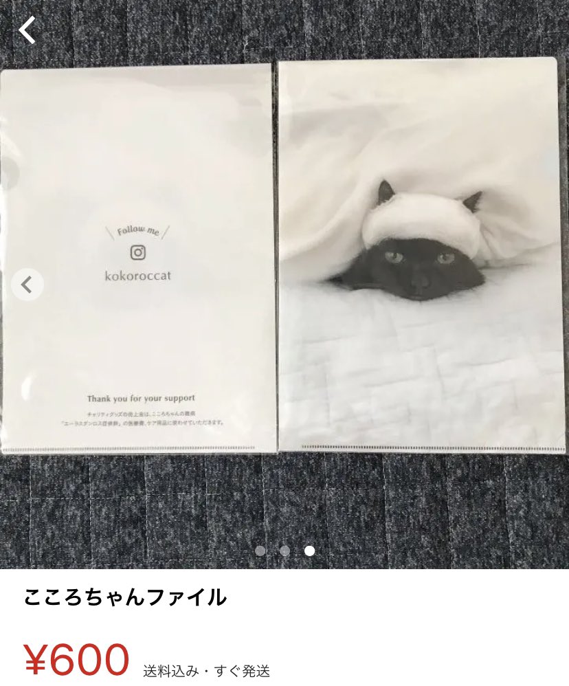 ねこのわ なら Zjedm8wbsuajvqs Twitter