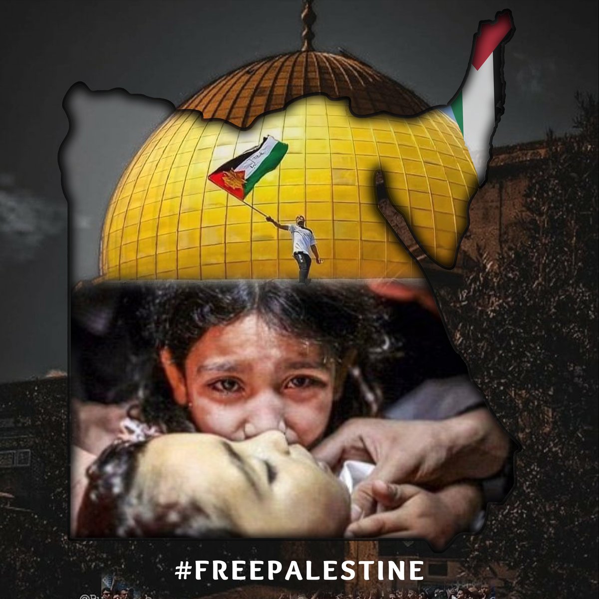 elfar966's tweet photo. وطن واحد ♥
إيماناً منا بالدعم المصري للقضيه الفلسطينيه ♥
#فلسطين_تنتصر
#مصر_تنصر_فلسطين 
#Gaza_Under_Attack https://t.co/ow9LbBycFY