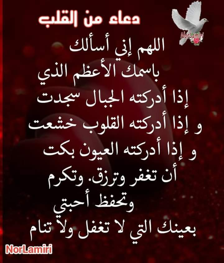 AshrafBalal6's tweet photo. https://t.co/WH5sVyArFl