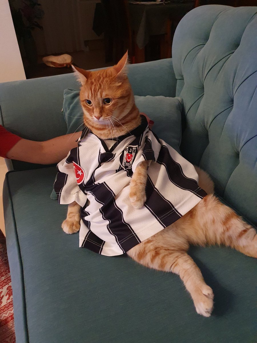 #beyazfutbol şampiyonluk keyfi