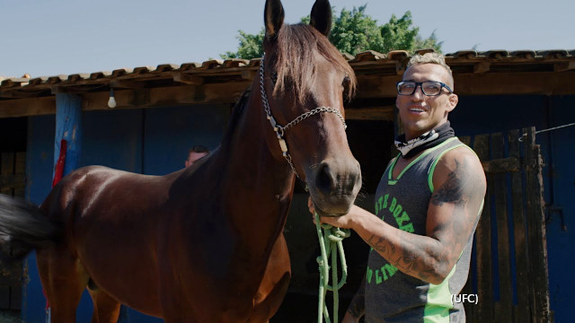 He's in the main event of #UFC262 tonight, but Charles Oliveira is just as happy being in a 'mane event' with Standardbreds and #harnessracing in his home country of Brazil 🇧🇷 » bit.ly/3hqDek7
