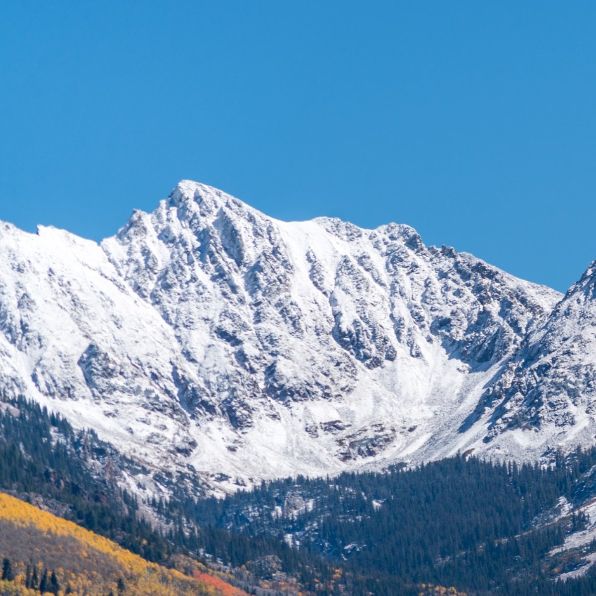 Vail Storage (StorageVail) Twitter