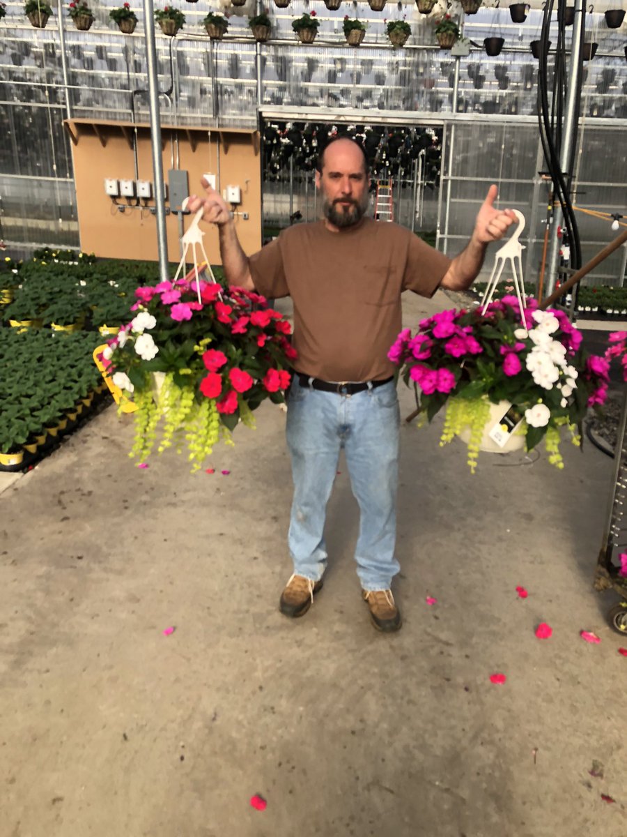 MatthewWoodsgh's tweet photo. Our grower Robert with his gorgeous 14” sunpatien combos. Job well done and then some!! https://t.co/UWEpnIoIae