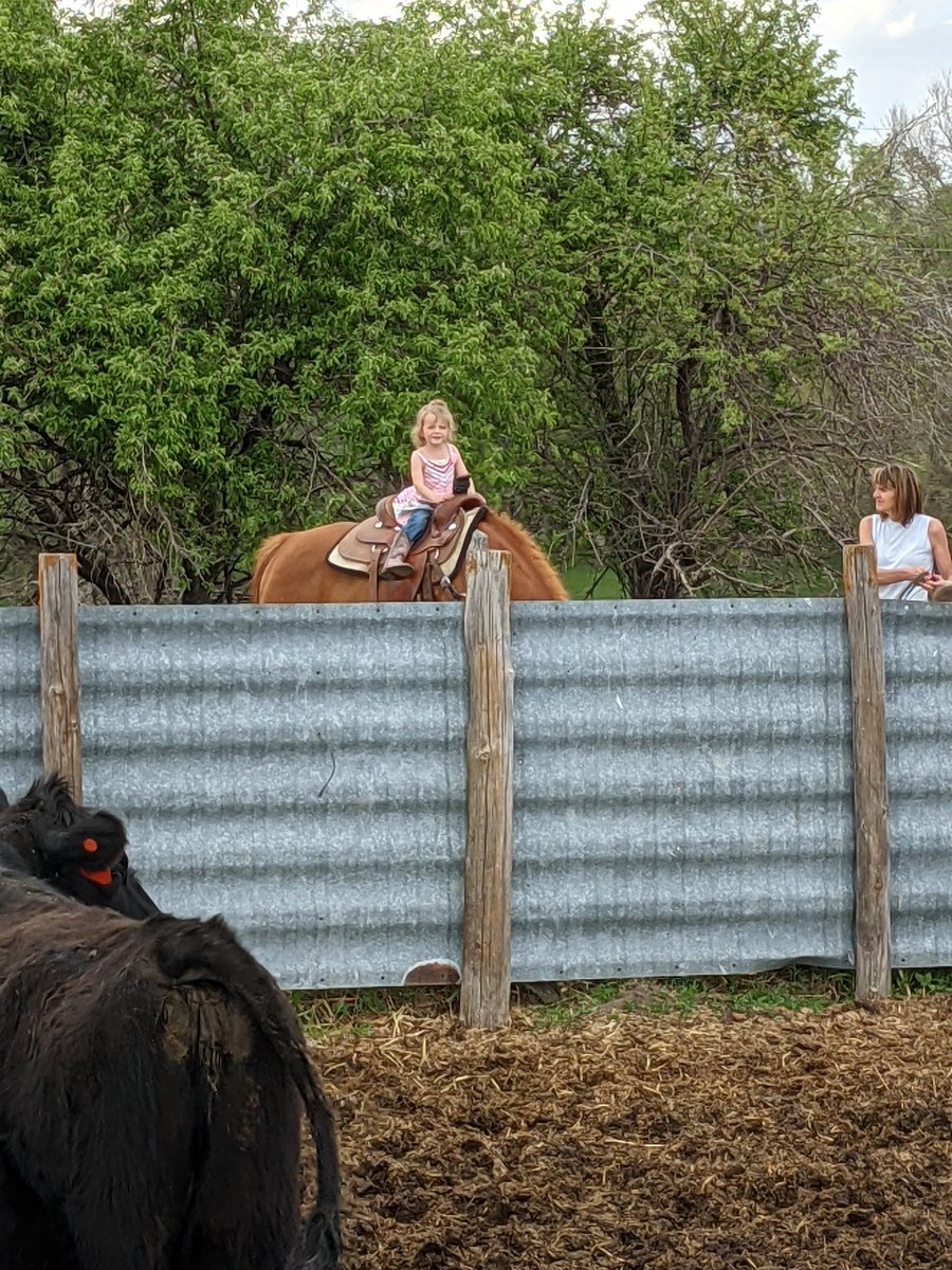 Every day I'm proud of my wife, but some days that's especially true. Another good Saturday spent at uncle Zach's