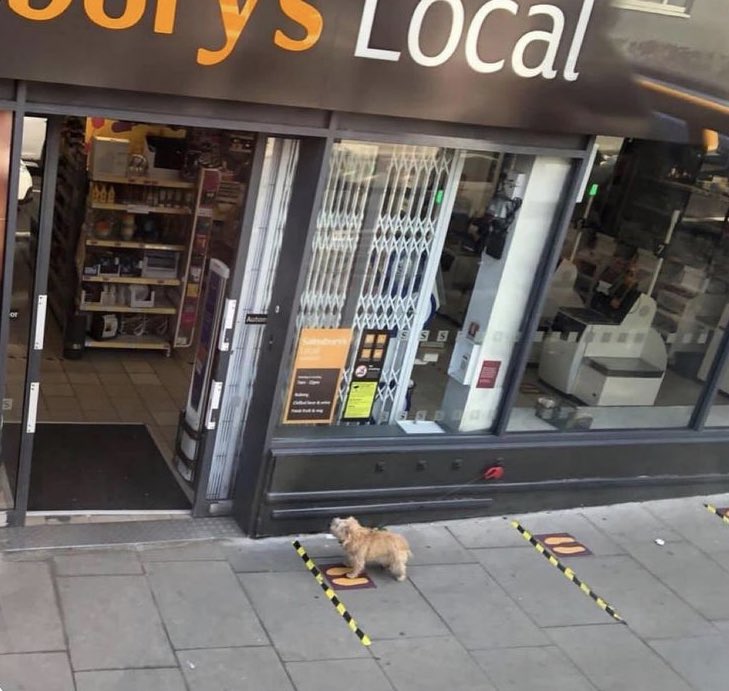 No Context Brits tweet media