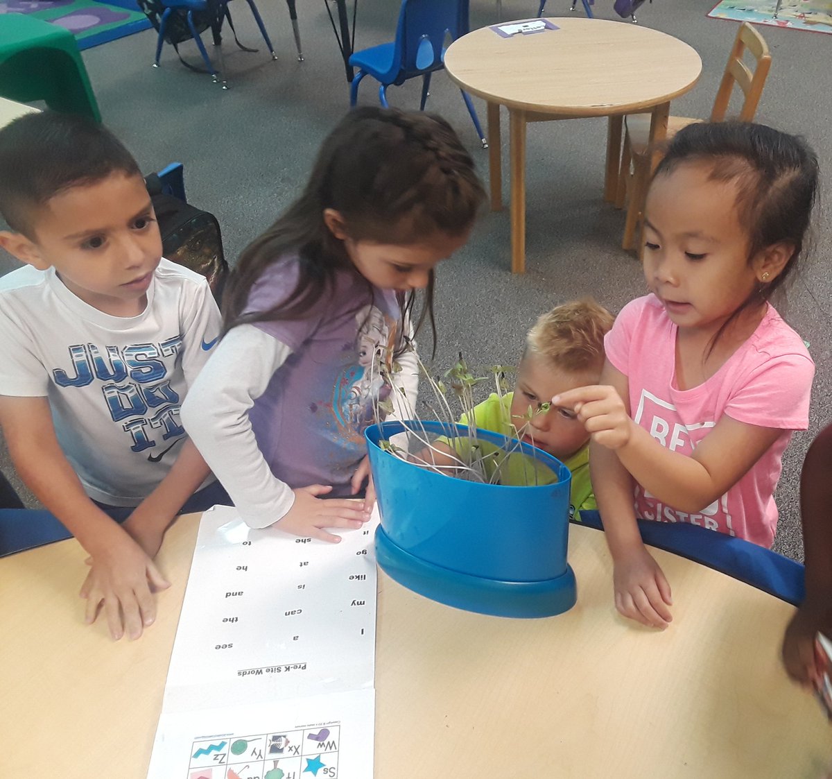 PlymellCarver's tweet photo. Our Morning Glory has thrived just as our littles have this school year!  #PreKROCKS @ECISD_EarlyEd @MustangsIreland https://t.co/yBSdc0Kfqa