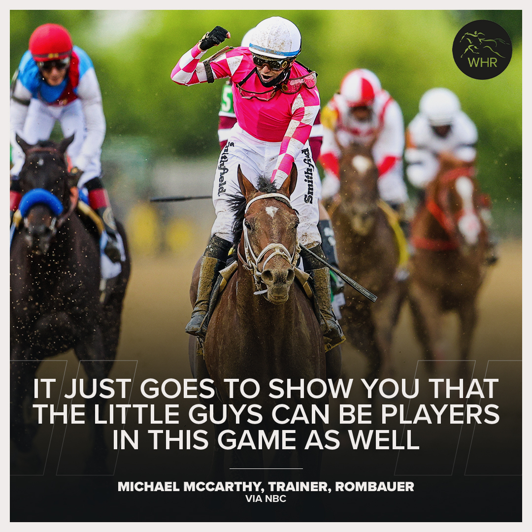 Cinda Garden🌻 Twitter