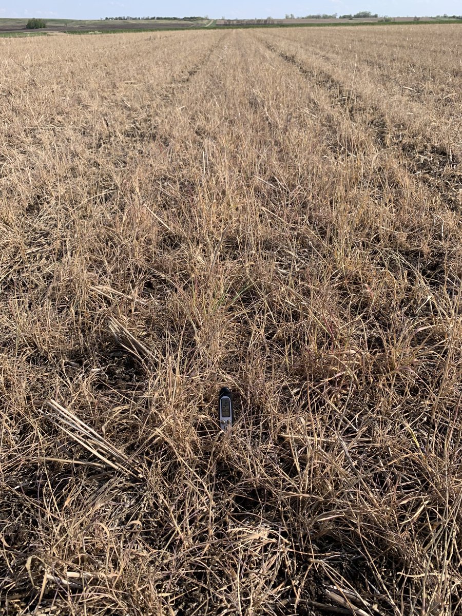 JoeBreker's tweet photo. Consistently 5 degrees warmer in the pair row 60” bio strip till than in between 3 days after planting. That has been pretty consistent over the last several years. https://t.co/ma6yw1Bd4s